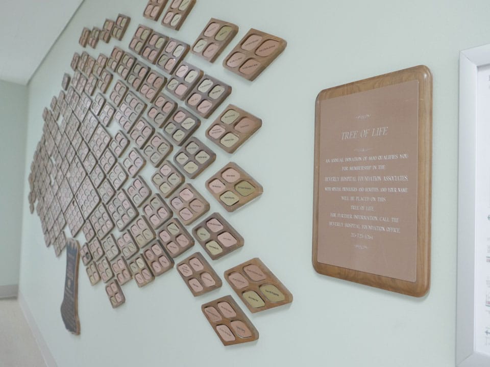 Tree of Life plaques for donor recognition at Beverly Hospital.