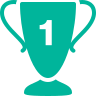 recognition icon