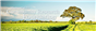 Community Research Foundation