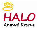 HALO Animal Rescue Jobs