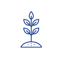 Pictoral icon depicting a growing plant