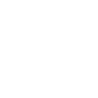 Go Car Wash logo