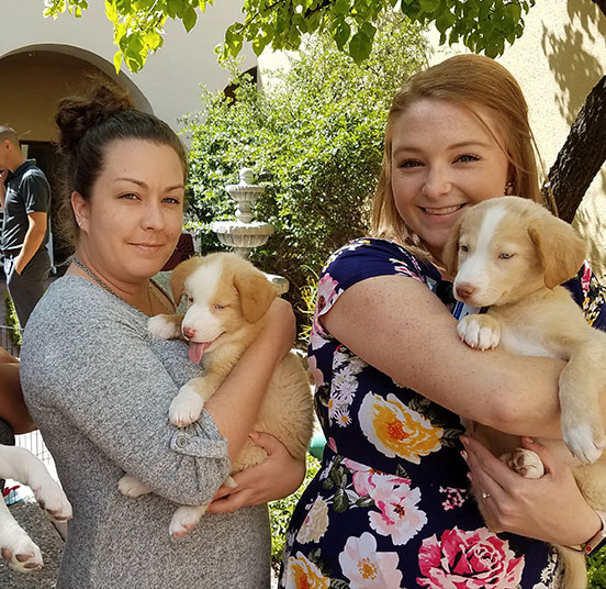 employees holding two little puppies